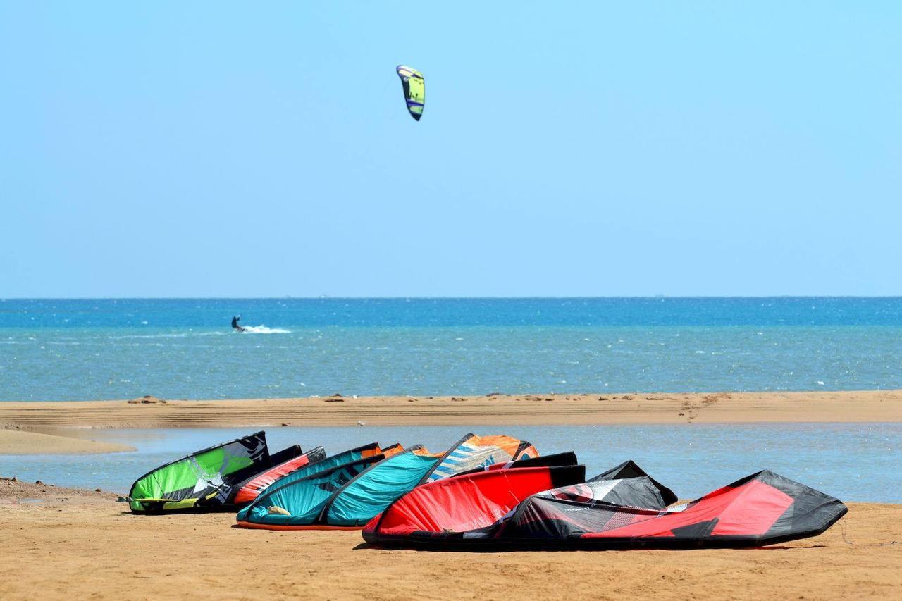 Studio Apartment,498900447:JPEG