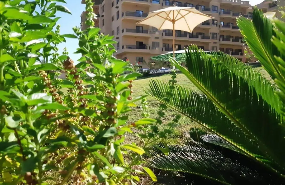 Turtles Beach Resort-1