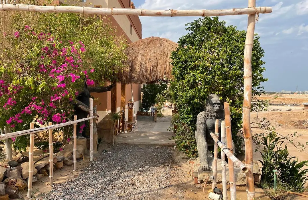 Jungle-1