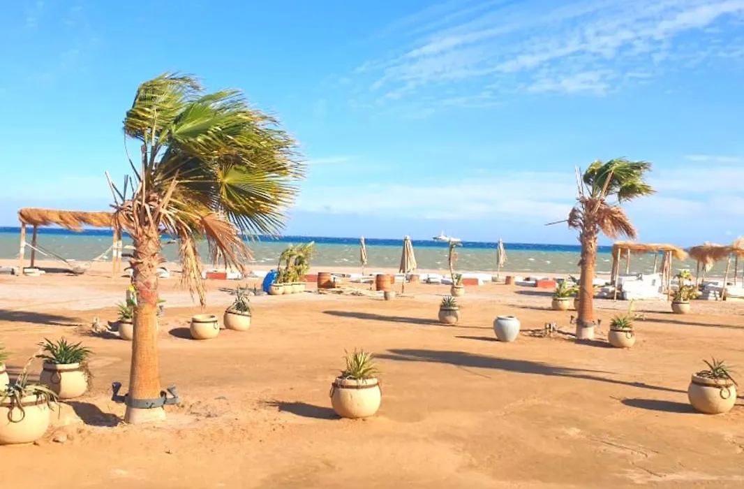 Taj Home, Gorgeous Mangroovy2Br, Pool, Beach-1
