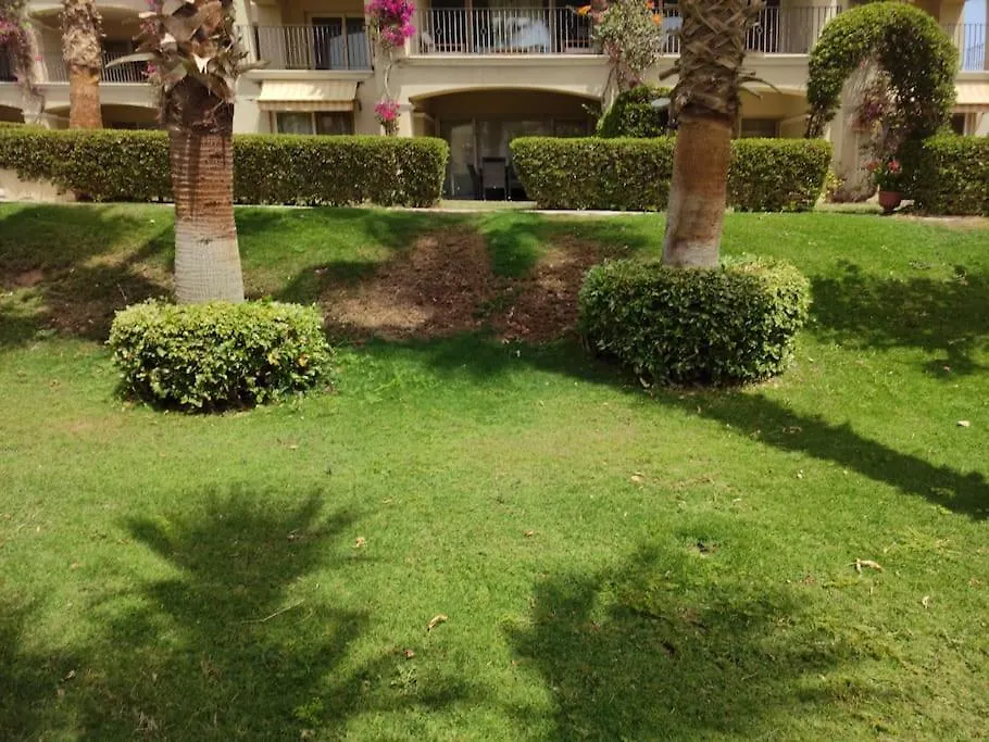 Unique Studio In The Heart Of Sahl Hasheesh-1