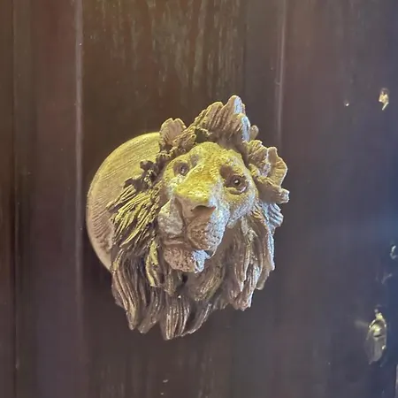 Jungle-3