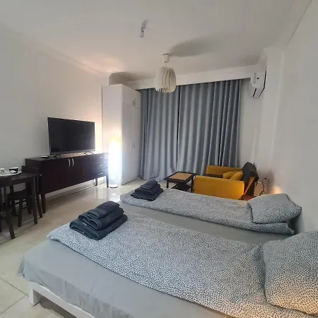 Apartment In Sheraton Plaza Condominium / 207-3