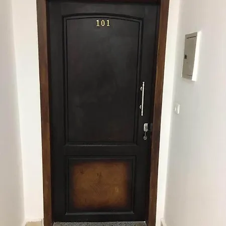 101 B-2