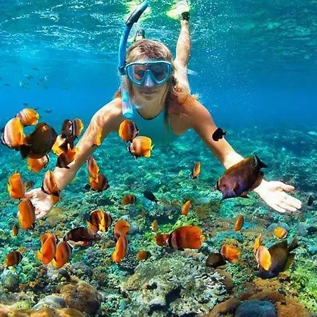 Hurghada Sea Trips-2