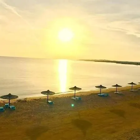 Apartments For Rent At Cecelia Resort-3