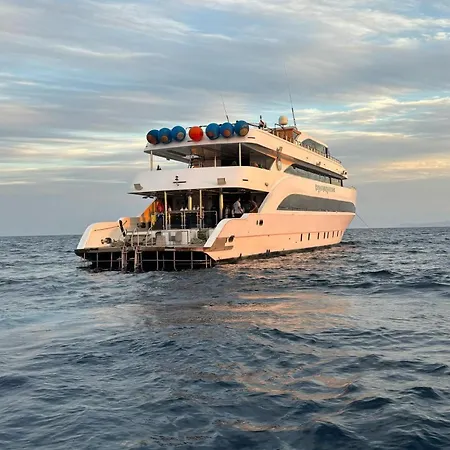 Sparrow Cruise And Marine Service-2