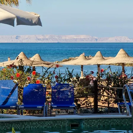 Turtles Beach Resort - Sea View-3